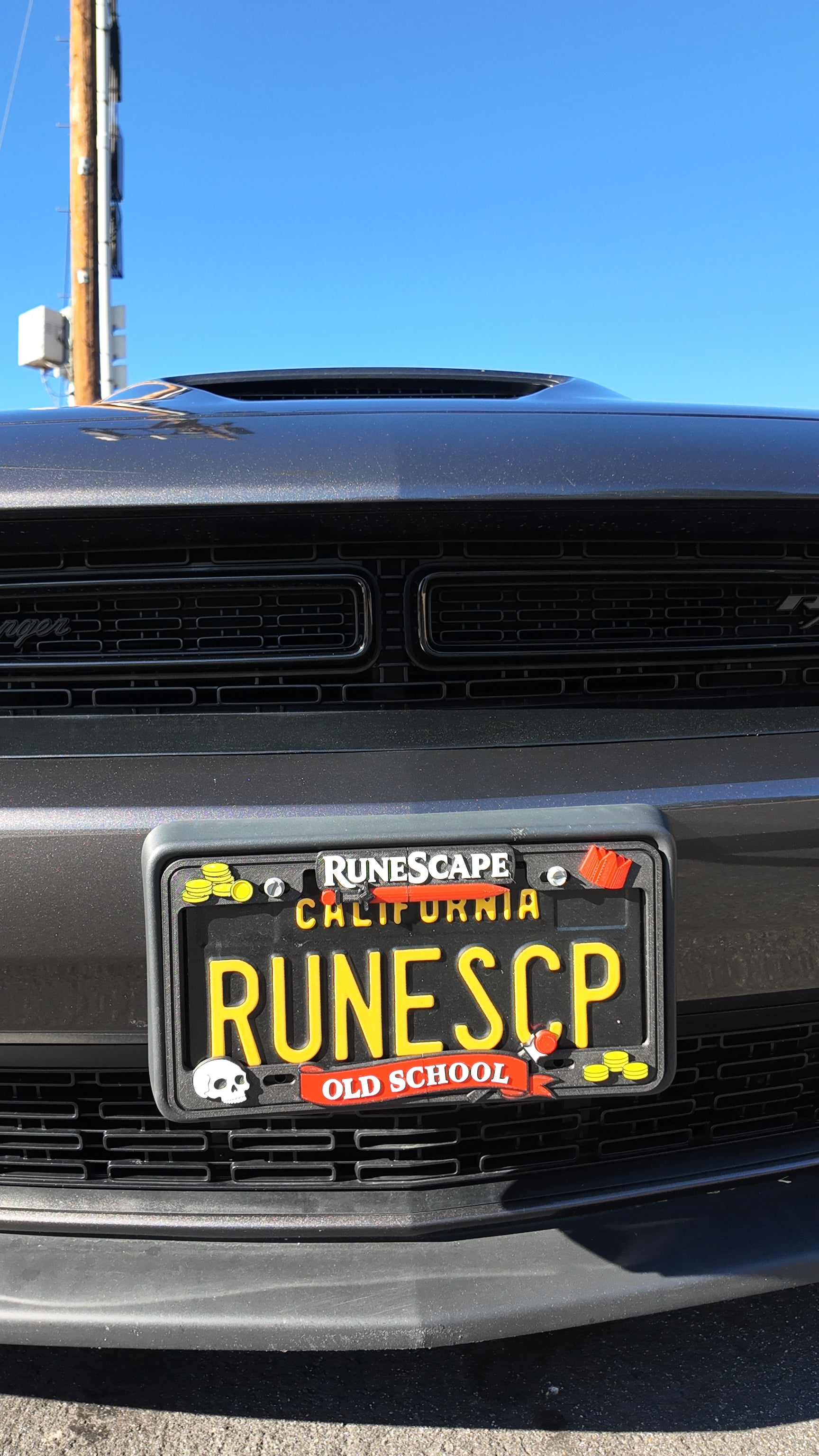 RuneScape – OSRS License Plate Frame
