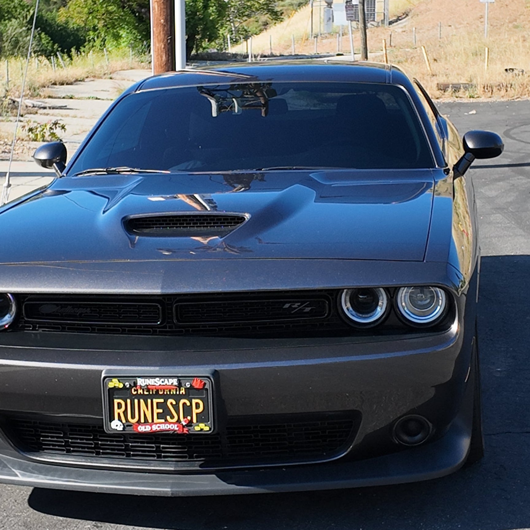 RuneScape – OSRS License Plate Frame